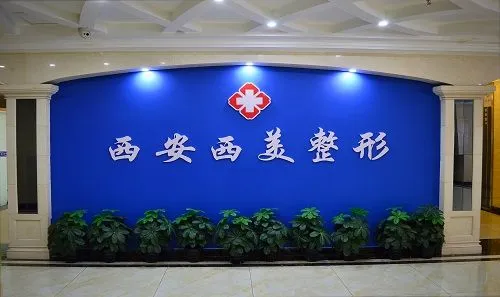 西安整形醫(yī)院排名前十名有哪些？